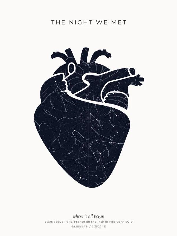 Anatomical design example